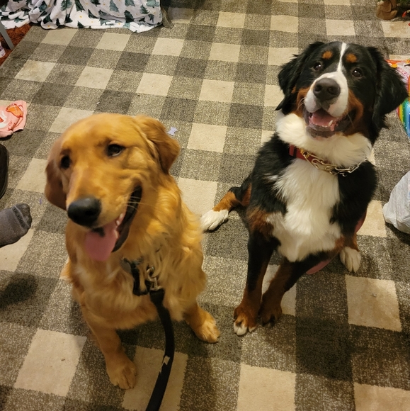 Meet your Posher, The grateful farmhouse - Picture 4 of 5